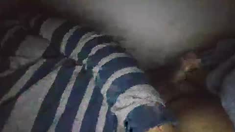 moeydsad4 online show from November 22, 2025, 2:49 pm