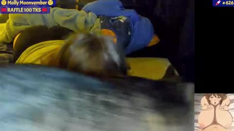 molly_moons online show from November 17, 2025, 7:03 am