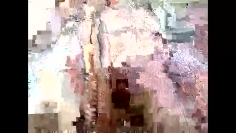 Snapshot of mommyissues2386 chatting on September 28, 2025, 9:53 pm Richard Sheridan online show from September 28, 2025, 9:53 pm