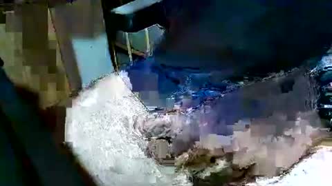 mon_za online show from December 15, 2025, 10:08 am