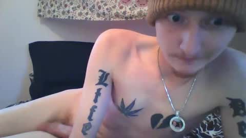 Snapshot of moneybaggho710 chatting on December 17, 2024, 6:31 pm Steven Rhyne online show from December 17, 2024, 6:31 pm