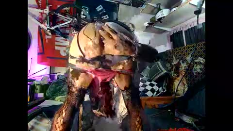 moneyballbaggin online show from October 15, 2025, 11:16 pm