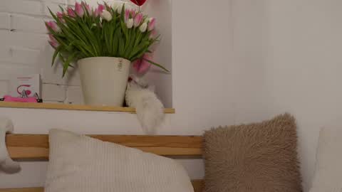 monicaasis online show from March 8, 2025, 9:18 pm