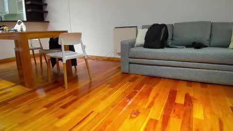 Monikfree online show from December 5, 2024, 4:23 pm