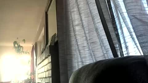 Snapshot of monkeedance chatting on December 17, 2024, 5:36 pm Monkee Dance online show from December 17, 2024, 5:36 pm