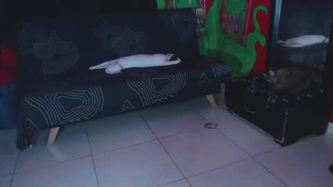 Snapshot of monsterdominationx chatting on November 25, 2025, 1:11 pm Xavier Rodriguez online show from November 25, 2025, 1:11 pm