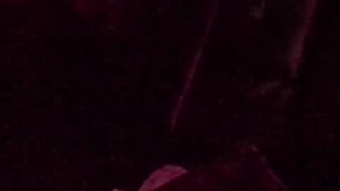 Snapshot of montydxxx2 chatting on September 14, 2025, 3:05 am montydxxx2 online show from September 14, 2025, 3:05 am