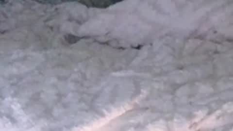 Snapshot of montydxxx2 chatting on February 5, 2026, 12:26 am montydxxx2 online show from February 5, 2026, 12:26 am