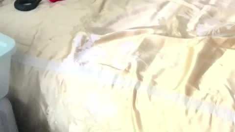 Snapshot of montydxxx2 chatting on February 15, 2026, 11:08 am montydxxx2 online show from February 15, 2026, 11:08 am