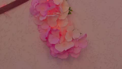 Im a independent model  Welcome online show from April 12, 2026, 4:34 pm