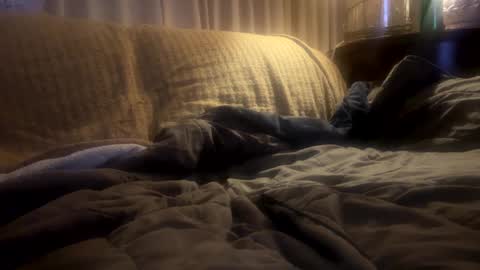 Mitchell online show from February 20, 2025, 11:31 am