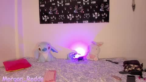 Snapshot of morgan_r13 chatting on December 4, 2024, 2:20 am Morgan-Redds online show from December 4, 2024, 2:20 am
