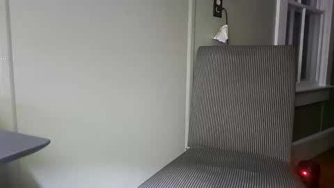 Snapshot of mountainmanny chatting on February 7, 2025, 11:34 am Manny online show from February 7, 2025, 11:34 am