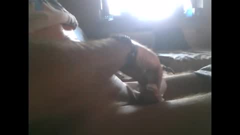 mowgli1977 online show from December 28, 2024, 8:37 am