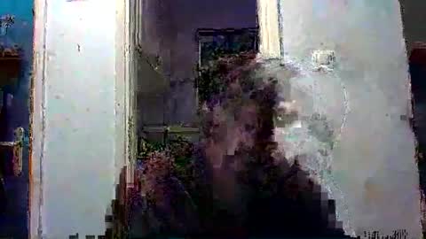 mppempis81 online show from December 13, 2025, 7:53 pm