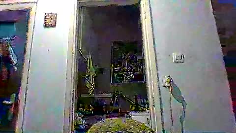 mppempis81 online show from January 8, 2026, 3:58 pm