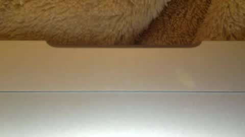 Snapshot of mr_himm chatting on April 23, 2026, 12:56 am mr_himm online show from April 23, 2026, 12:56 am