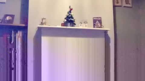 mr_i_ online show from December 17, 2024, 8:10 pm