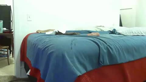 Chocolate meat pole 6511 online show from November 22, 2025, 11:04 pm