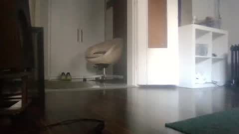 Nikola online show from January 17, 2026, 10:53 am