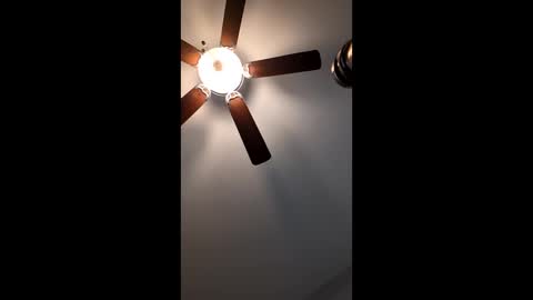 mrorange50187 online show from January 12, 2025, 2:52 pm