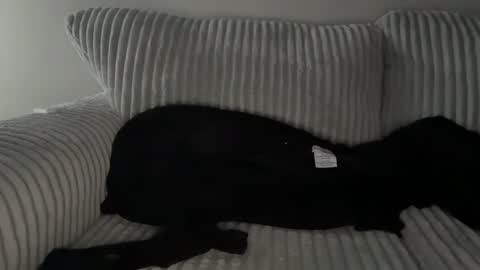 Snapshot of mrryanvoss chatting on December 30, 2024, 10:01 pm Mr Ryan Voss online show from December 30, 2024, 10:01 pm