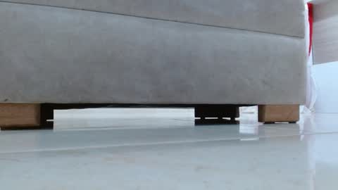 Tell me Katty  online show from January 10, 2025, 11:43 am