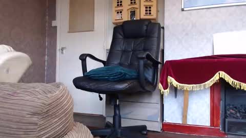 Mr. Dan online show from November 4, 2025, 12:37 pm