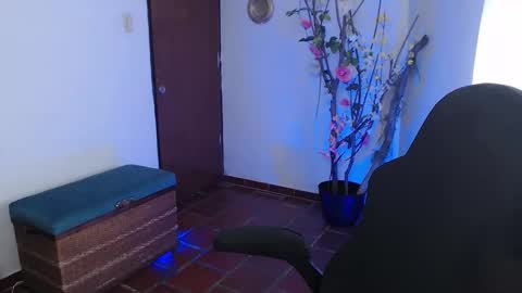 Sofia online show from March 13, 2026, 4:46 pm