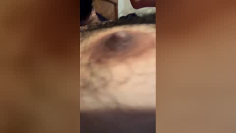 mulattofever_89 online show from February 3, 2026, 3:15 am