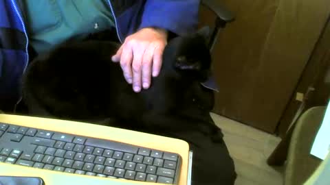 muller520 online show from February 4, 2025, 4:50 pm