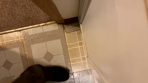 nairda2senoniuq online show from December 20, 2024, 12:08 am