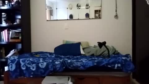 Snapshot of nak3d_lif3 chatting on January 21, 2025, 11:55 pm nak3d_lif3 online show from January 21, 2025, 11:55 pm