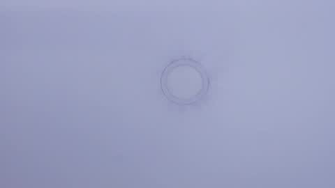 Maira online show from February 3, 2025, 6:28 pm