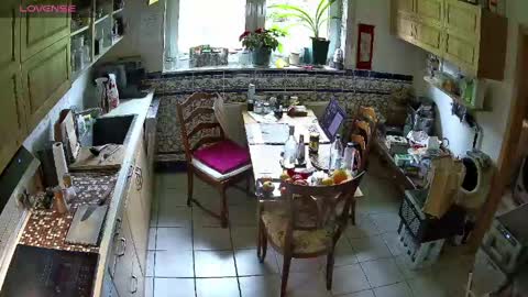 Snapshot of nature_x chatting on April 16, 2026, 10:27 am Nature online show from April 16, 2026, 10:27 am