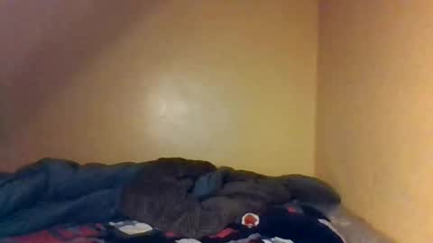 Snapshot of naughtyaura_ebony chatting on April 26, 2026, 8:39 pm Bree doll online show from April 26, 2026, 8:39 pm