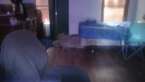 Snapshot of ned_is_naughty chatting on June 24, 2026, 12:31 am ned is naughty online show from June 24, 2026, 12:31 am