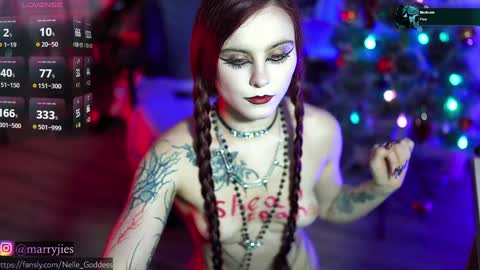 Snapshot of nelle_ chatting on December 30, 2024, 4:19 pm    online show from December 30, 2024, 4:19 pm