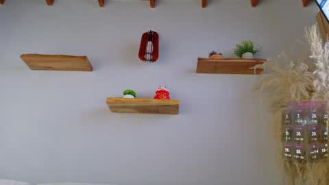 Jordan online show from April 7, 2026, 11:54 am