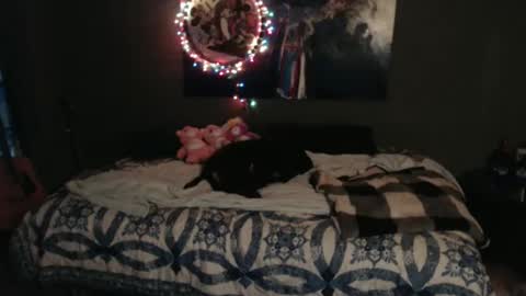 Snapshot of nettiedmonroe chatting on November 8, 2025, 5:34 pm Nettie D Monroe online show from November 8, 2025, 5:34 pm