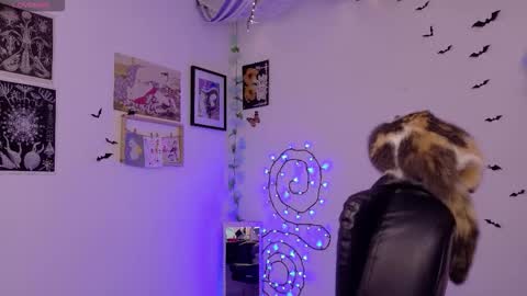 Mar online show from February 3, 2026, 5:38 am