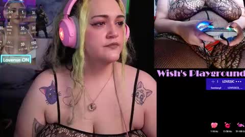 Snapshot of nevermakeawish chatting on January 13, 2026, 3:28 pm Wishs Playground online show from January 13, 2026, 3:28 pm