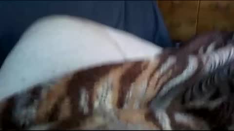 Matt online show from December 1, 2024, 7:36 pm