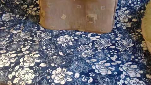 Lilly  online show from February 1, 2025, 12:47 pm