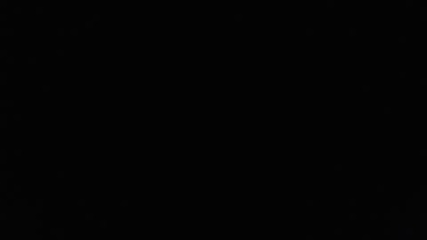 Lilly  online show from February 23, 2025, 3:29 pm