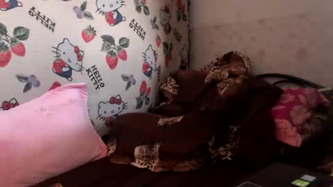 nicharee online show from June 17, 2026, 6:38 am