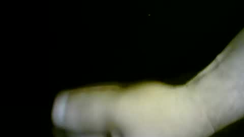 nicholaastavrou19 online show from April 1, 2026, 12:00 am