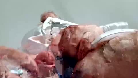 TheCock online show from December 28, 2024, 8:58 am