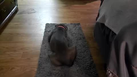 Snapshot of nicky72486 chatting on September 22, 2025, 3:19 am nicky72486 online show from September 22, 2025, 3:19 am