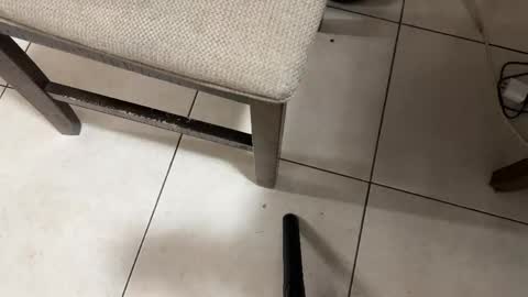 Snapshot of nicocar83pty chatting on February 28, 2026, 8:26 am Carlos Nico online show from February 28, 2026, 8:26 am